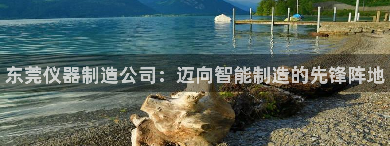 淮北云顶国际一次多少钱：东莞仪器制造公司：迈向智能制造的先锋