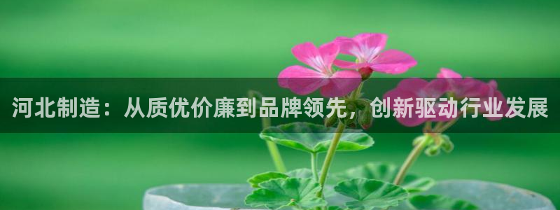 云顶国际平台游戏app：河北制造：从质优价廉到品牌领先，创新