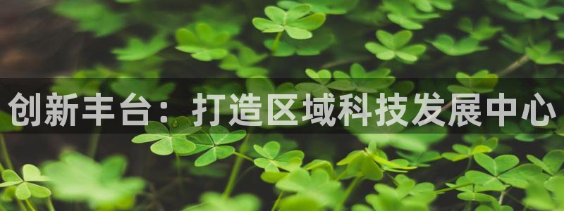 下载云顶国际app：创新丰台：打造区域科技发展中心