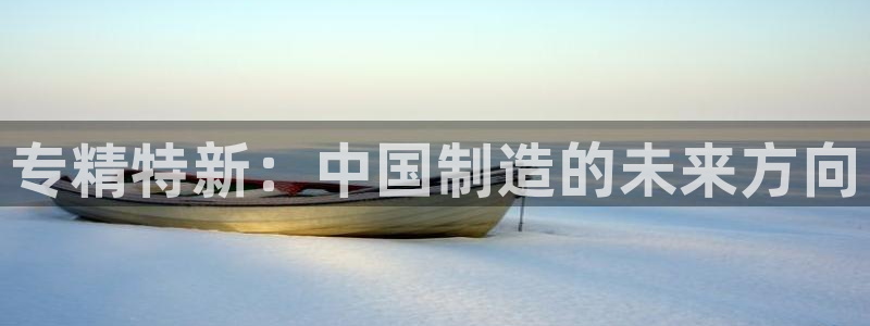 云顶国际在线：专精特新：中国制造的未来方向