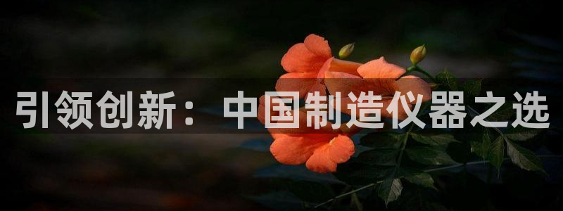 云顶国际部：引领创新：中国制造仪器之选