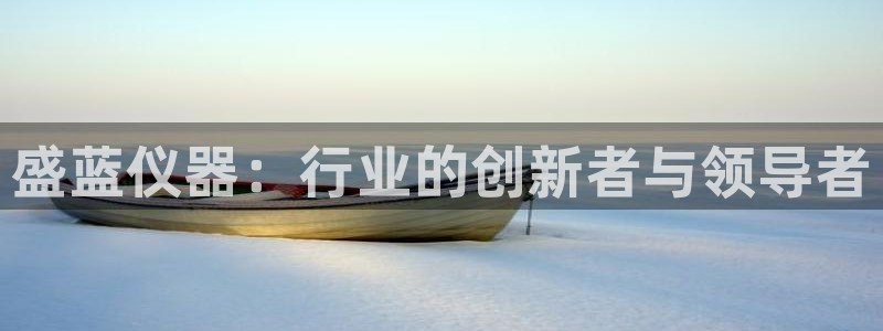 云顶2021：盛蓝仪器：行业的创新者与领导者