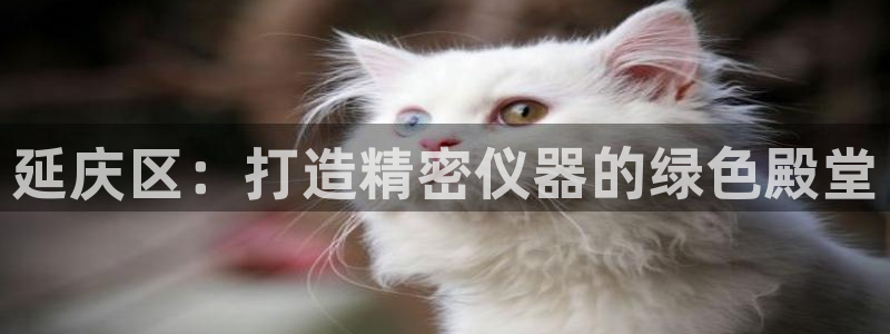 云顶国际取款多久到账户：延庆区：打造精密仪器的绿色殿堂