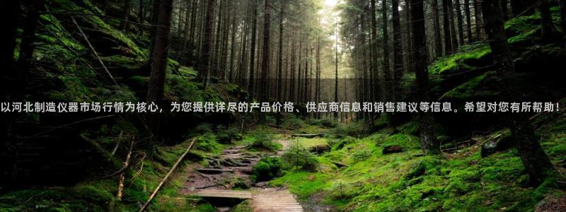 云顶国际测试服：以河北制造仪器市场行情为核心，为您提供详尽的