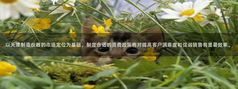 云顶国际服s10：以天津制造仪器的市场定位为基础，制定合适的