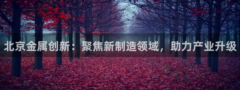 云顶国际服怎么选服务器：北京金属创新：聚焦新制造领域，助力产