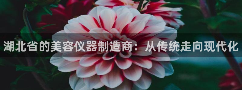 云顶国际官网官方客服：湖北省的美容仪器制造商：从传统走向现代