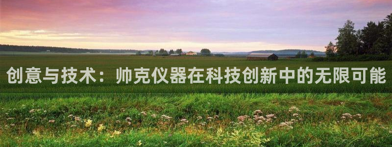 云顶电竞下载：创意与技术：帅克仪器在科技创新中的无限可能