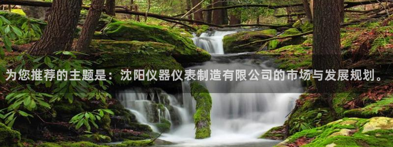 云顶国际服联机：为您推荐的主题是：沈阳仪器仪表制造有限公司的