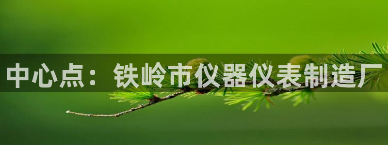 云顶国际饭店：中心点：铁岭市仪器仪表制造厂