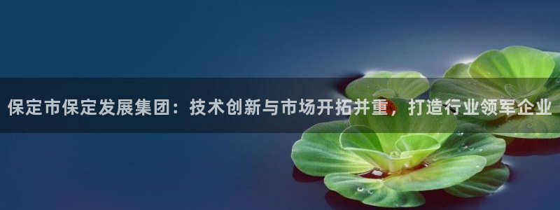 云顶国际ktv：保定市保定发展集团：技术创新与市场开拓并重，