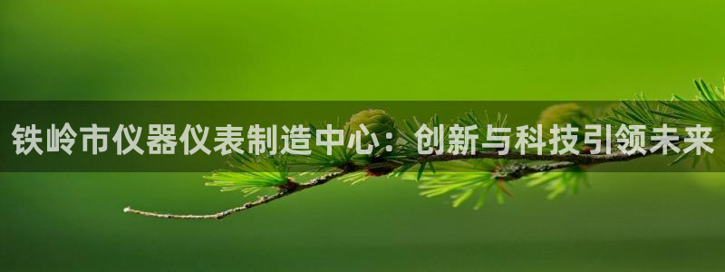 云顶国际存款：铁岭市仪器仪表制造中心：创新与科技引领未来