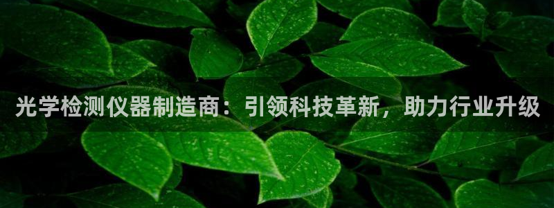 云顶国际装饰设计公司：光学检测仪器制造商：引领科技革新，助力