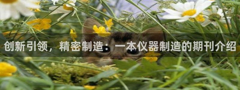 云顶2021：创新引领，精密制造：一本仪器制造的期刊介绍