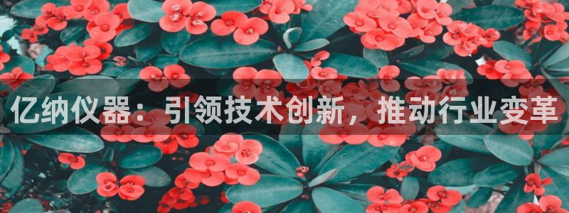 云顶国际高中学费多少一年：亿纳仪器：引领技术创新，推动行业变
