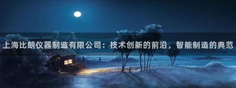 云顶国际物流官网网址：上海比朗仪器制造有限公司：技术创新的前