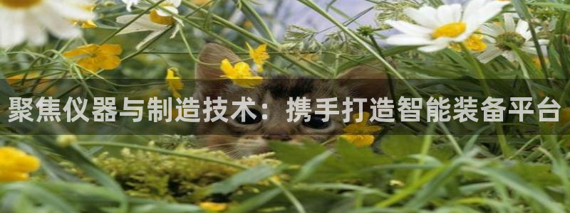 云顶国际和百姓渔村：聚焦仪器与制造技术：携手打造智能装备平台