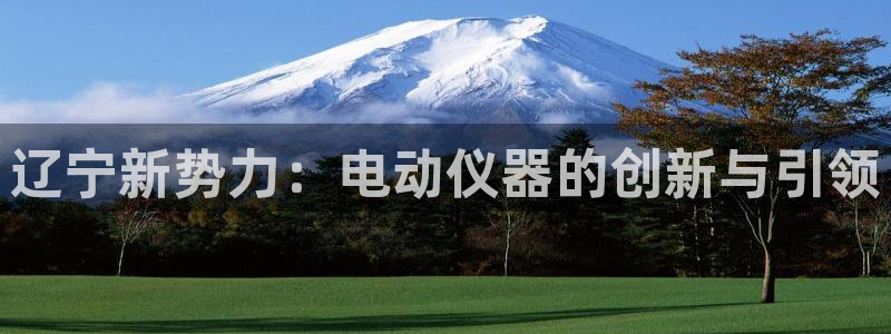 云顶国际老板是谁：辽宁新势力：电动仪器的创新与引领