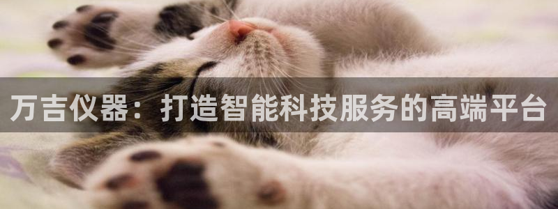 云顶集团 林：万吉仪器：打造智能科技服务的高端平台