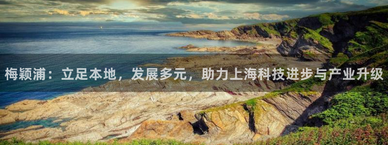云顶国际二手房价格走势：梅颖浦：立足本地，发展多元，助力上海