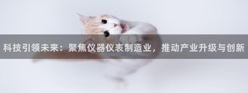 云顶国际是黑台吗：科技引领未来：聚焦仪器仪表制造业，推动产业