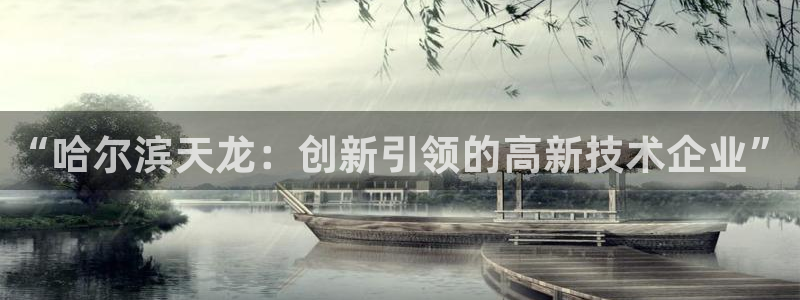 云顶国际大酒店：“哈尔滨天龙：创新引领的高新技术企业”