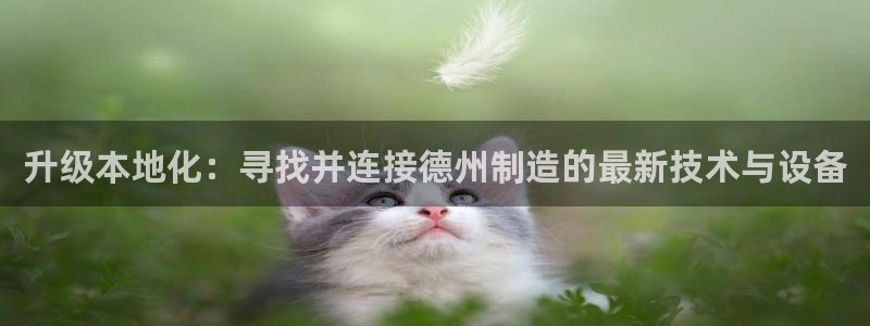 云顶集团专属app：升级本地化：寻找并连接德州制造的最新技术