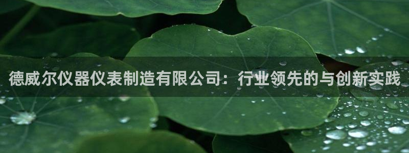 云顶国际创始人是谁啊：德威尔仪器仪表制造有限公司：行业领先的