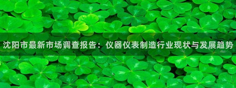 云顶国际体育官方网站入口：沈阳市最新市场调查报告：仪器仪表制