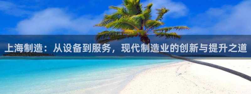 谁知道云顶的网站是多少：上海制造：从设备到服务，现代制造业的