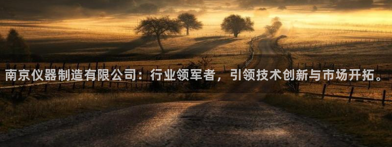 云顶国际注册送28：南京仪器制造有限公司：行业领军者，引领技