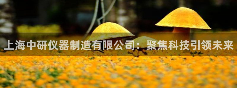 云顶集团总裁：上海中研仪器制造有限公司：聚焦科技引领未来