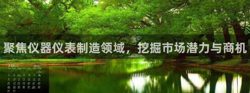 12311云顶线路检测：聚焦仪器仪表制造领域，挖掘市场潜力与