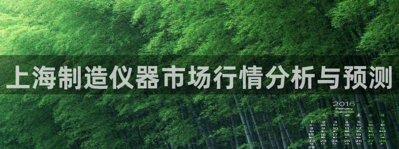 云顶国际app官网下载：上海制造仪器市场行情分析与预测