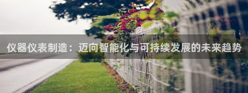 云顶国际网页版官网：仪器仪表制造：迈向智能化与可持续发展的未