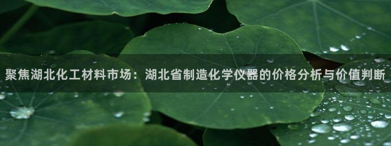 云顶集团官网电话客服：聚焦湖北化工材料市场：湖北省制造化学仪