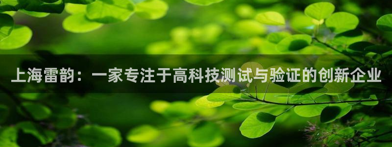 云顶国际取款多久到账户：上海雷韵：一家专注于高科技测试与验证