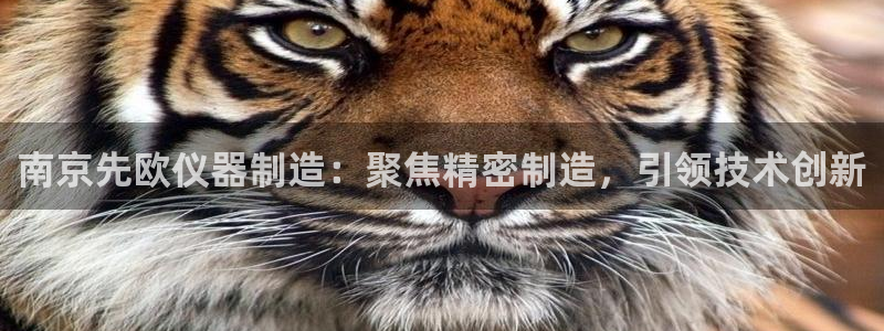 云顶电子游戏网站：南京先欧仪器制造：聚焦精密制造，引领技术创