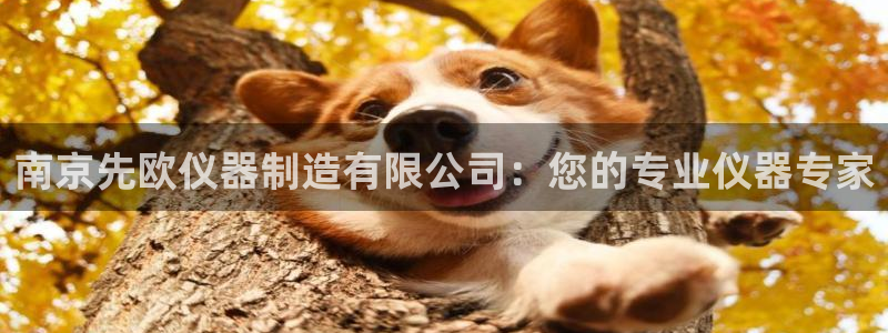 云顶国际钱取不出来了怎么办：南京先欧仪器制造有限公司：您的专