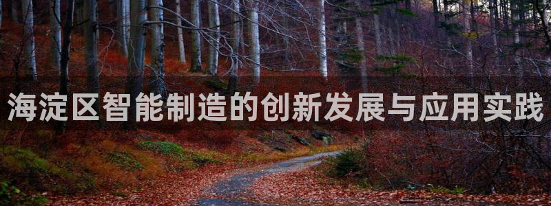 云顶国际连接：海淀区智能制造的创新发展与应用实践