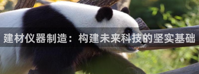 云顶国际官方网站下载手机版：建材仪器制造：构建未来科技的坚实