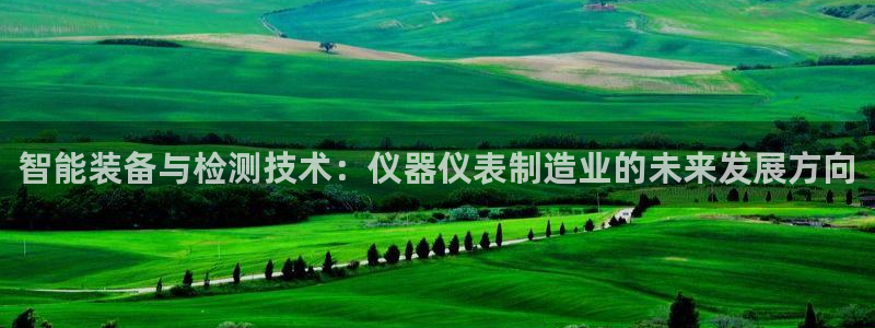 18183云顶：智能装备与检测技术：仪器仪表制造业的未来发展