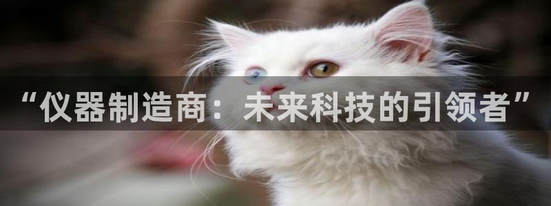 云顶国际广场A座：“仪器制造商：未来科技的引领者”