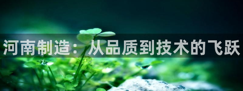云顶集团游戏入口：河南制造：从品质到技术的飞跃