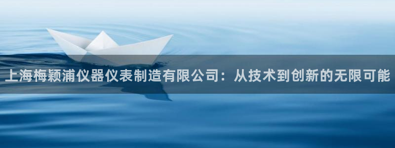 云顶游戏网站网址：上海梅颖浦仪器仪表制造有限公司：从技术到创