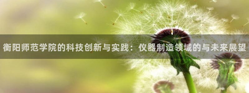 云顶国际app手机版下载安装：衡阳师范学院的科技创新与实践：