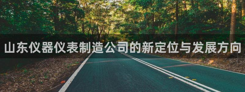 云顶国际什么时候能提现：山东仪器仪表制造公司的新定位与发展方