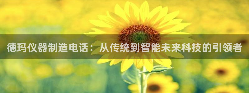 云顶国际麻将胡了：德玛仪器制造电话：从传统到智能未来科技的引