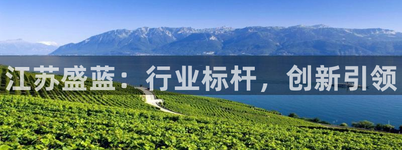 云顶国际大厦：江苏盛蓝：行业标杆，创新引领