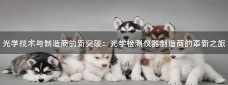 云顶集团中国区总裁：光学技术与制造商的新突破：光学检测仪器制